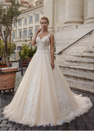 Beaded Ivory Lace Champagne Tulle Wedding Dress